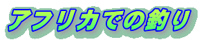 �A�t���J�ł̒ނ�